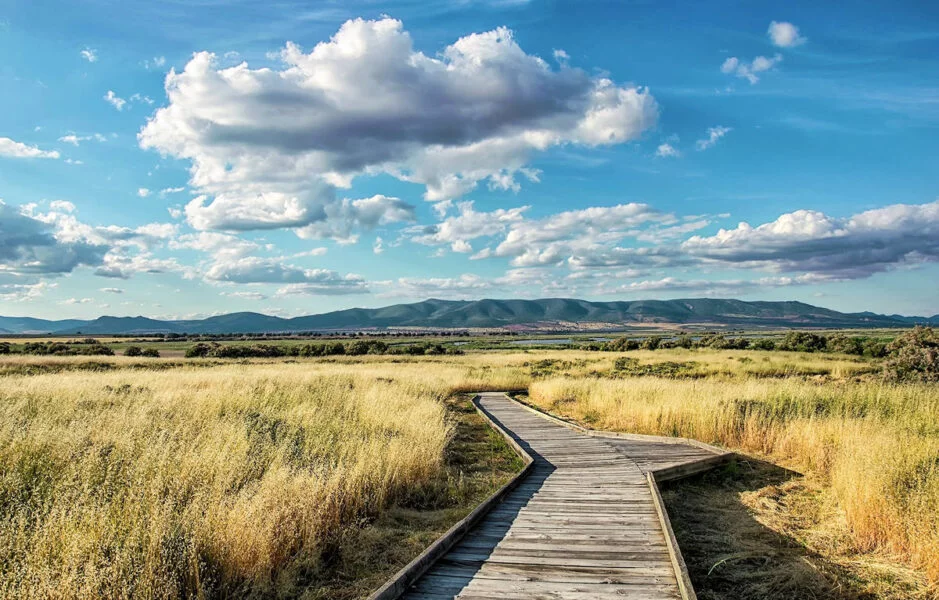 ▷ DAIMIEL » Disfruta de su encanto, qué ver y hacer. Parque Natural Daimiel