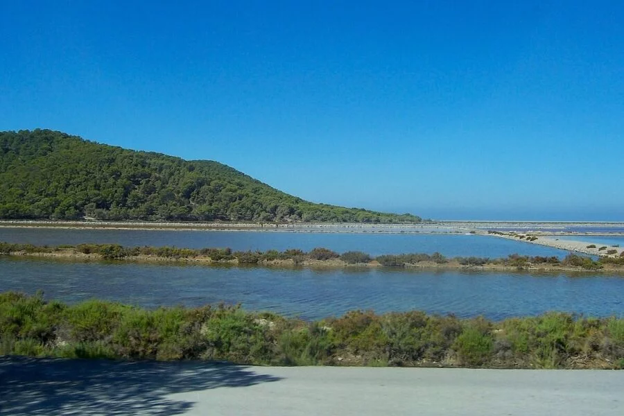 ▷ SANT JORDI » Descubre qué ver hacer en este bello destino Conoce el Parque de Ses Salines en Sant Jordi.