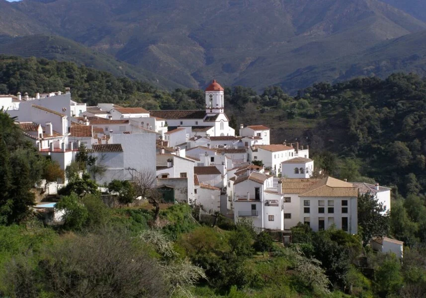 ▷ GENALGUACIL » Qué ver y hacer en este pintoresco pueblo. Iglesia de San Pedro Mártir de Verona