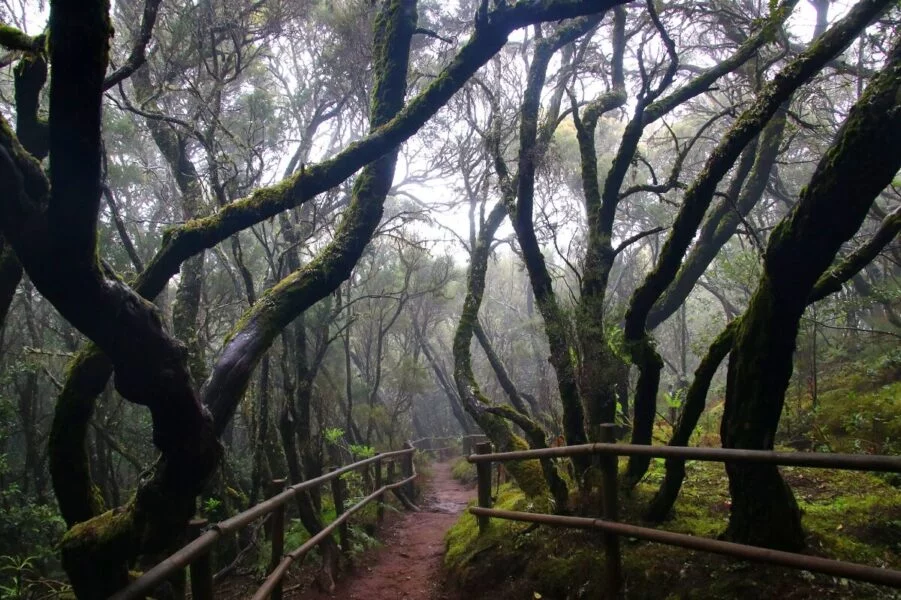 ▷ AGULO » Qué ver y hacer en este simpático pueblo costero Parque Nacional de Garajonay