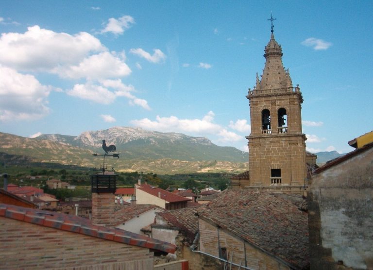 BRIÑAS » Qué ver y hacer. Viñedos a orillas del Ebro