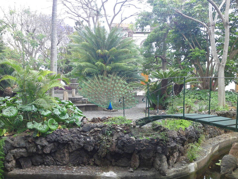 Jardín de la Marquesa de Arucas