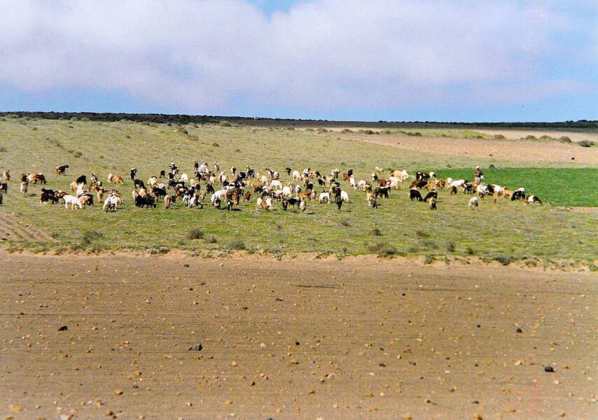 ▷ TÍAS » Qué ver y hacer en este vibrante pueblo lanzaroteño Parque de Timanfaya
