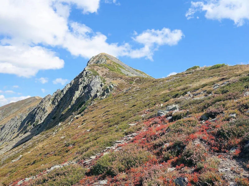 ▷ COLINAS DEL CAMPO DE MARTÍN MORO TOLEDANO » Guía Pico Catoute