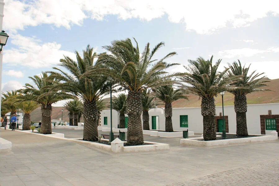 ▷ FEMÉS » Qué ver y hacer en la cima de Los Ajaches Plaza San Marcial en Femés