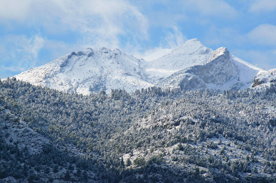 Parque natural de la Sierra de las Nieves