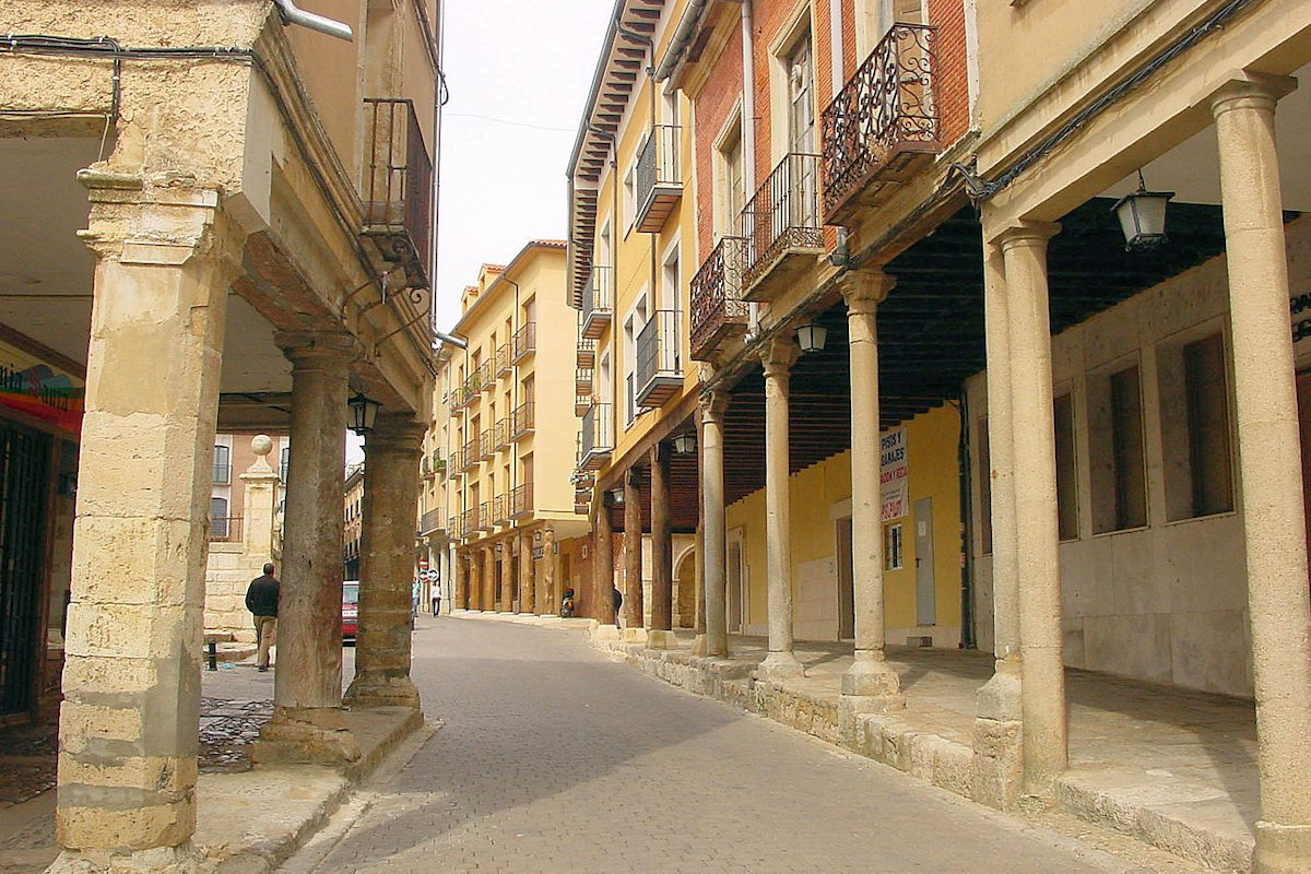 Visita Medina de Ríoseco